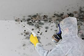 Best Mold Damage Restoration  in London, CA